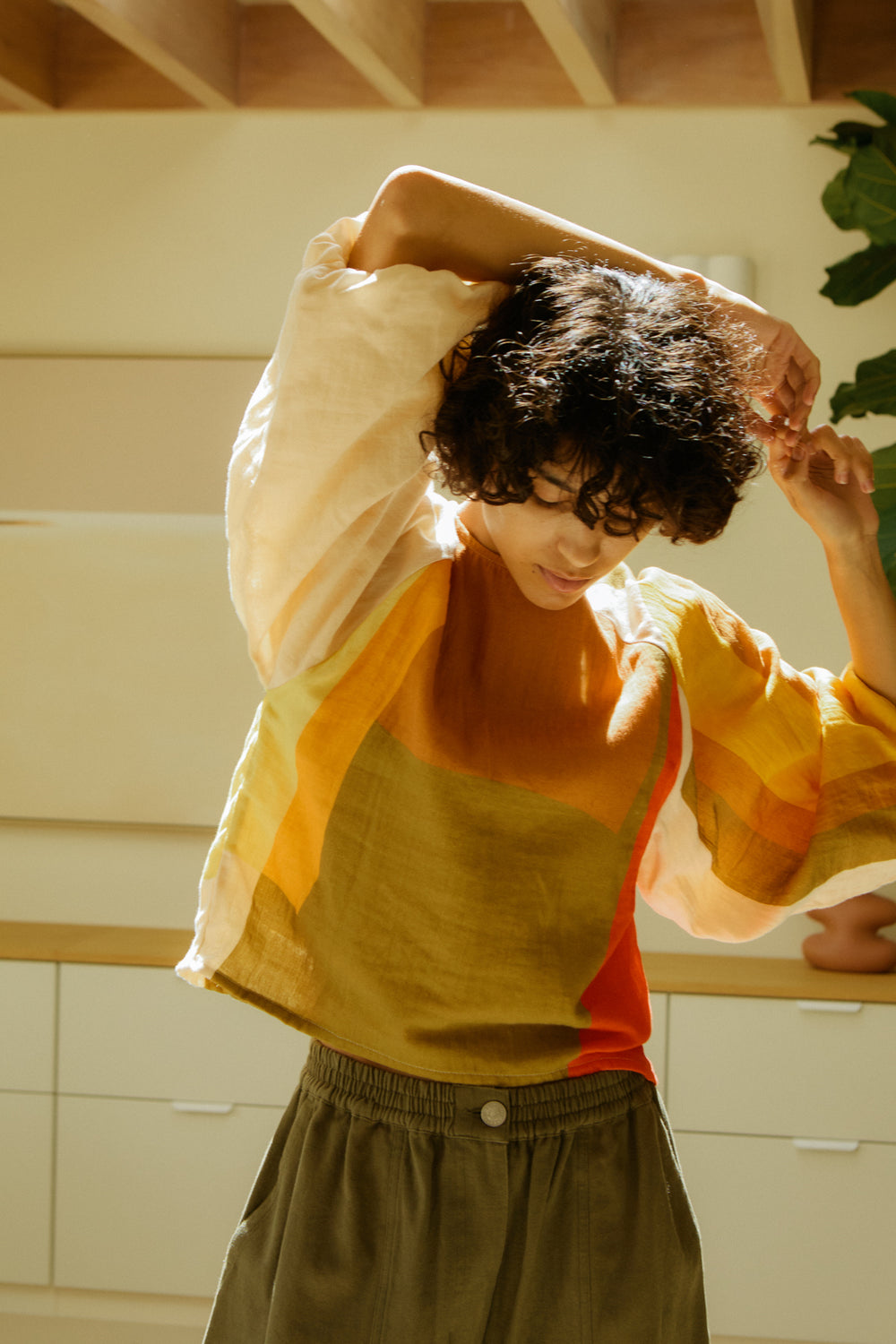 Apollo Top Canopy Print